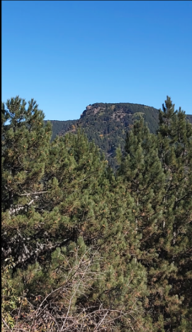 Ekran Resmi 2026-04-21 15.30.48.png