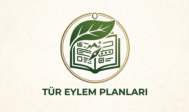 Tür Eylem Planları